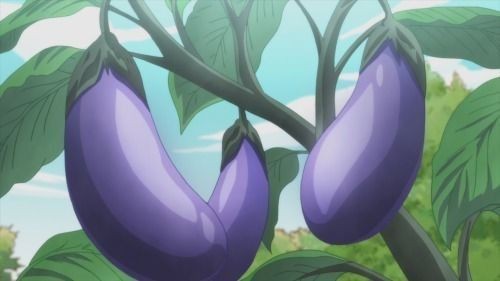 Berinjela